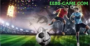 Guia Completo: c81 - Tudo Que Você Precisa Saber em 2024 - 🏆 apk